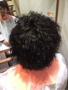 o0480064113253648254