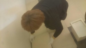 o0480027013275909016