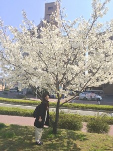 o0480064013263628416