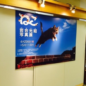 o0480048013299618089