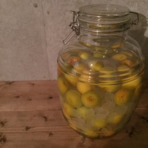 o0480048013344608534