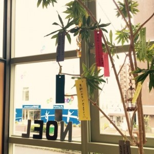 o0480048013359101486