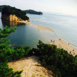 o0480048013393998542