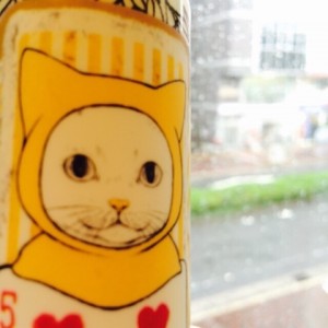 o0480048013414493516