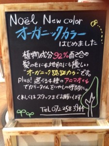 o0480064013415235582