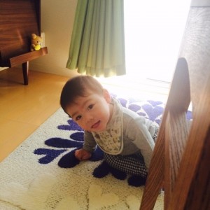 o0480048013452268830